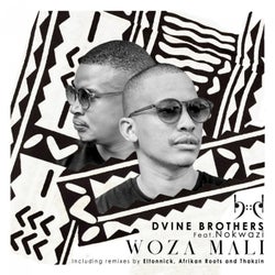 Woza Mali(Incl Eltonnick, Thakzin and Afrikan Roots Remixes)