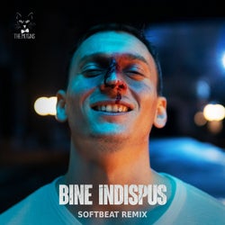 Bine Indispus (Softbeat Remix)