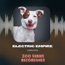 Electric Empire