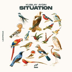 Situation (Extended Mix)