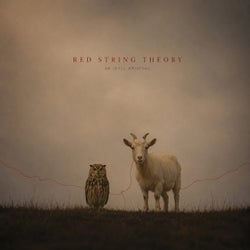 RED STRING THEORY