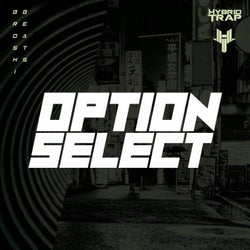 Option Select
