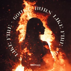 Burn Like Fire