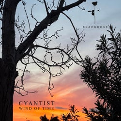 Wind of Time