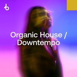 In The Remix 2024: Organic House / Downtempo