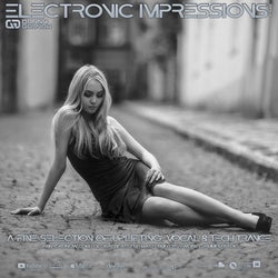 Electronic Impressions 848 with Danny Grunow