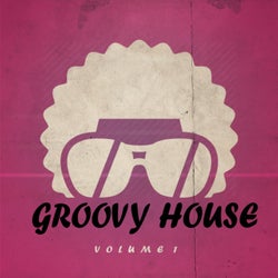 Groovy House, Vol. 1