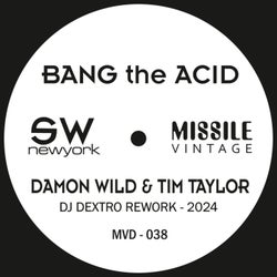 Bang The Acid (DJ Dextro Rework - 2024)