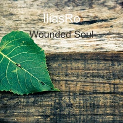 Wounded Soul