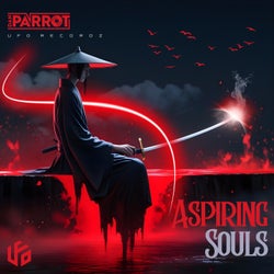 Aspiring Souls