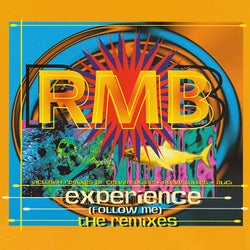 Experience (Follow Me) [The Remixes]