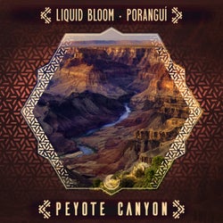 Peyote Canyon