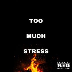 Too Much Stress