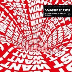 Warp 2.019 (feat. Steve Aoki) [Steve Aoki & Kayzo Remix]
