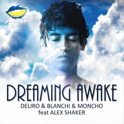 Dreaming Awake (feat. Alex Shaker)