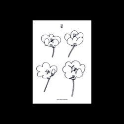 Poppies