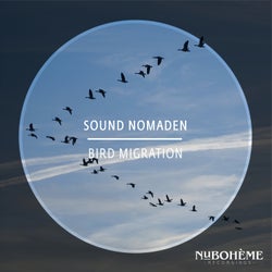 Bird Migration - Acoustic