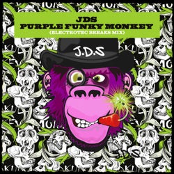 Purple Funky Monkey (Electrotec Breaks Mix)