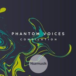 Phantom Voices