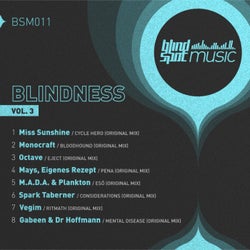 Blindness, Vol. 3