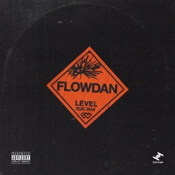 Level