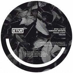 Hoesafbeelding voor Translucent Tracks