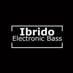 Electronic Bass