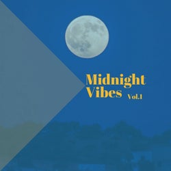 Midnight Vibes, Vol. 1