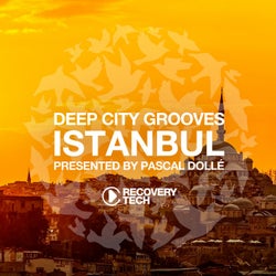 Deep City Groove Istanbul - Presented By Pascal Dollé - Beatport