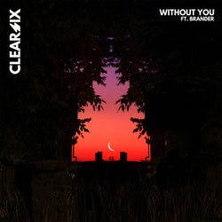 Without You (feat. Brander)