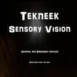 Sensory Vision
