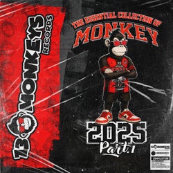 The Essential Collection Of Monkey 2025 - Part.1