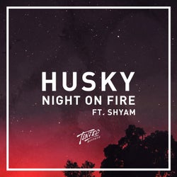Night on Fire (feat. Shyam P)
