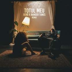 Totul Meu (Remix)