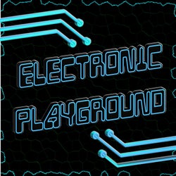 Electronic Playground