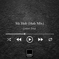Mr Hub (Hub Mix)