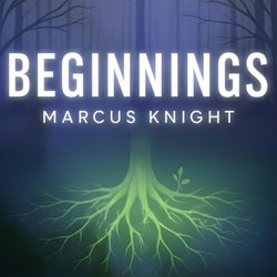 Beginnings