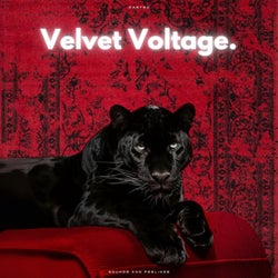Velvet Voltage