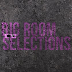 Big Room Selections, Vol. 4 - Compiled and Selected by Sneja