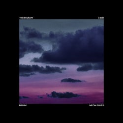 Neon Skies