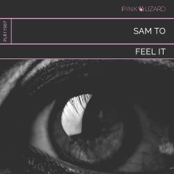 Sam To - Feel It | chart 07/19
