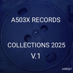 A503X RECORDS COLLECTIONS 2025 V.1