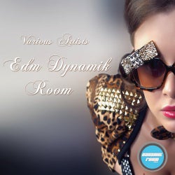EDM Dynamik Room