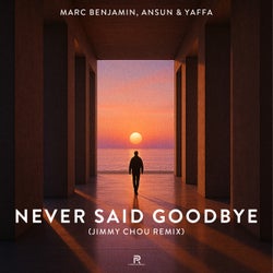 Never Said Goodbye (Jimmy Chou Remix)