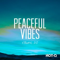 Peaceful Vibes 020