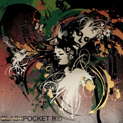 Blackpocket, Vol. 1