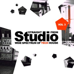 Straight From Studio, Vol.3: Wide Spectrum Of Tech House