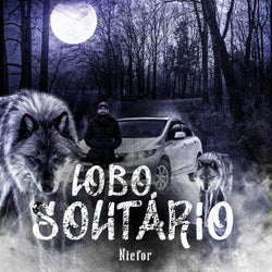 Lobo Solitário