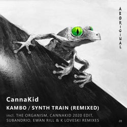 Kambo / Synth Train (Remixed)
