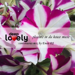 Deep Lovely Pleasure in da House Music